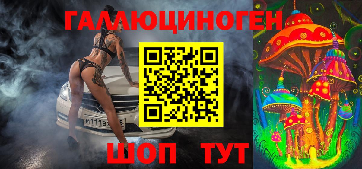 Малгобек  Галлюциногенные грибы ЛСД  Галлюциногенные грибы Psilocybe  Вход с VPN 